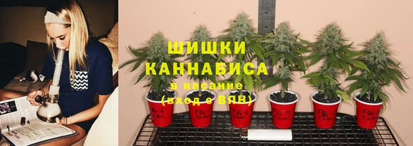 круглые Абаза