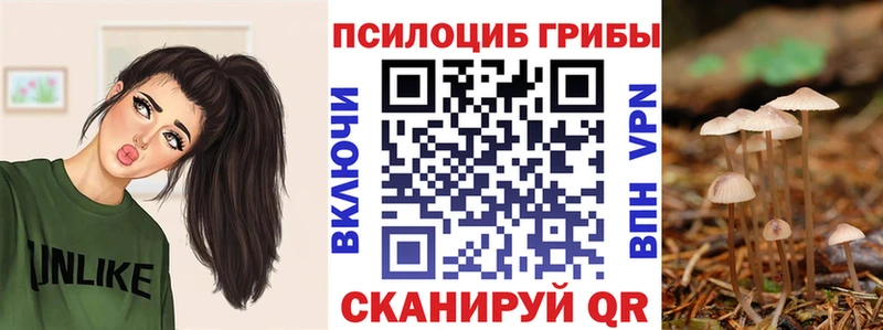 ссылка на мегу ССЫЛКА купить Адыгейск Галлюциногенные грибы MAGIC MUSHROOMS